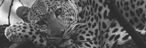 paige__em's profile banner image