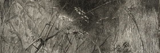 ariiahell's profile banner image