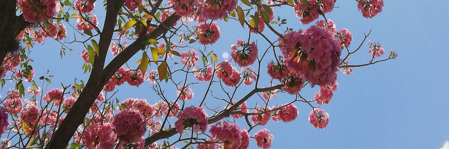 m_once8's profile banner image