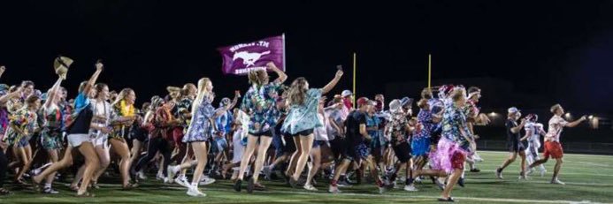 MVHS Student Section banner