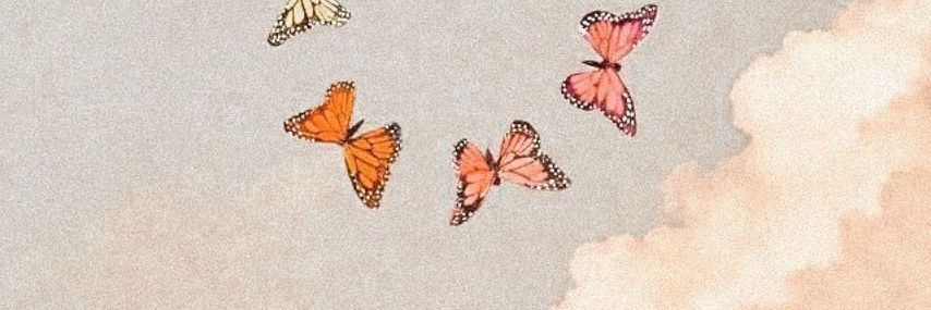 solpastelito's profile banner image