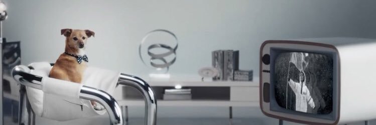 ghostinmegs's profile banner image