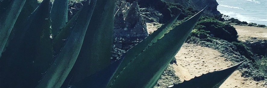 tom_nowo's profile banner image