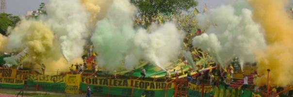 Informante Bucaro banner