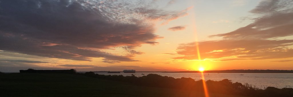 beelandd22's profile banner image