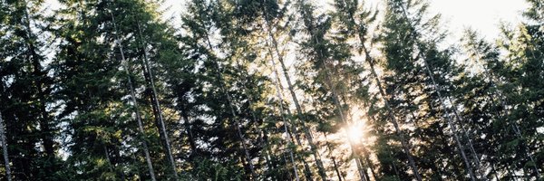 fredghatala Profile Banner