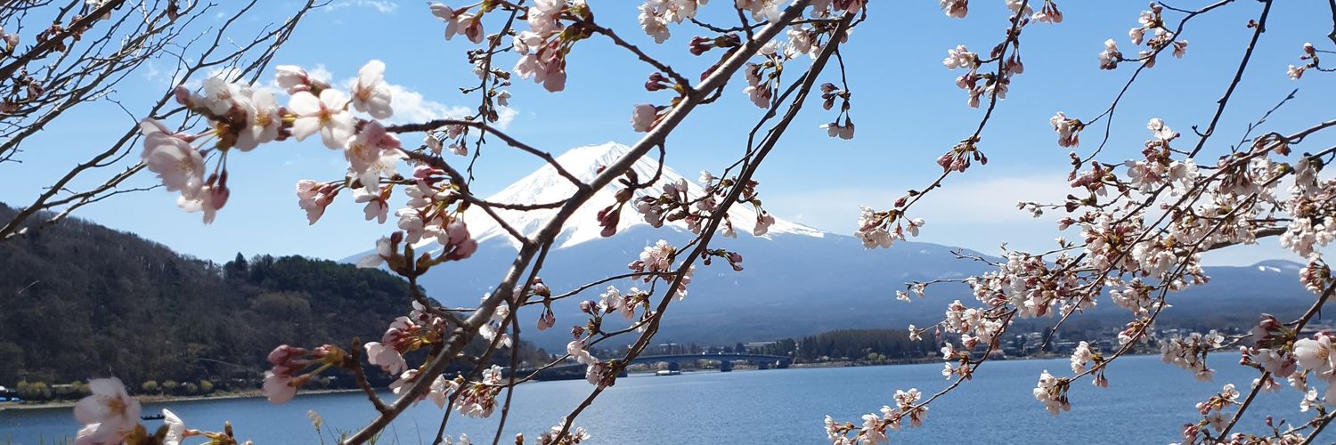 zoeebar1's profile banner image