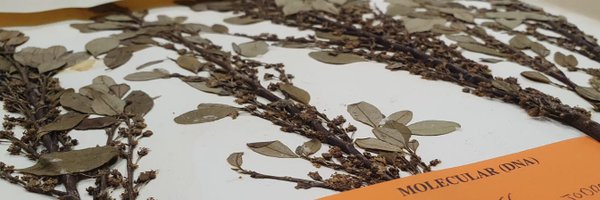 natalia_chirps Profile Banner