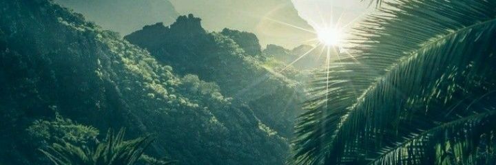 TemidayoIniage's profile banner image