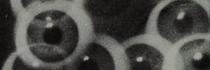 farleftjeff's profile banner image