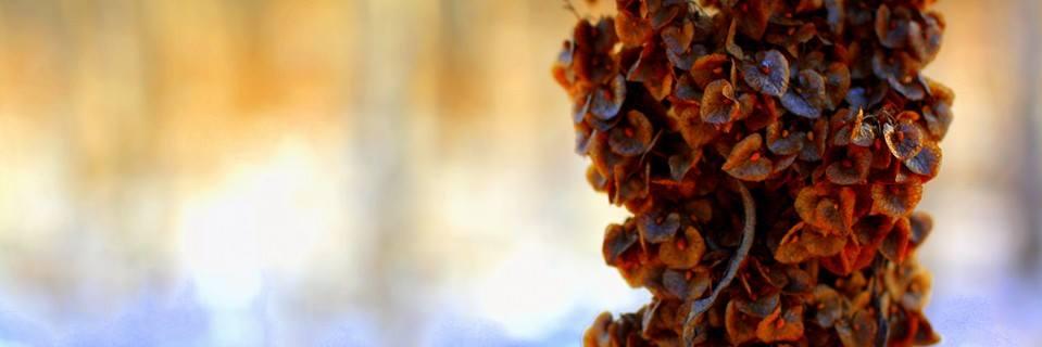 Em_Marie_'s profile banner image