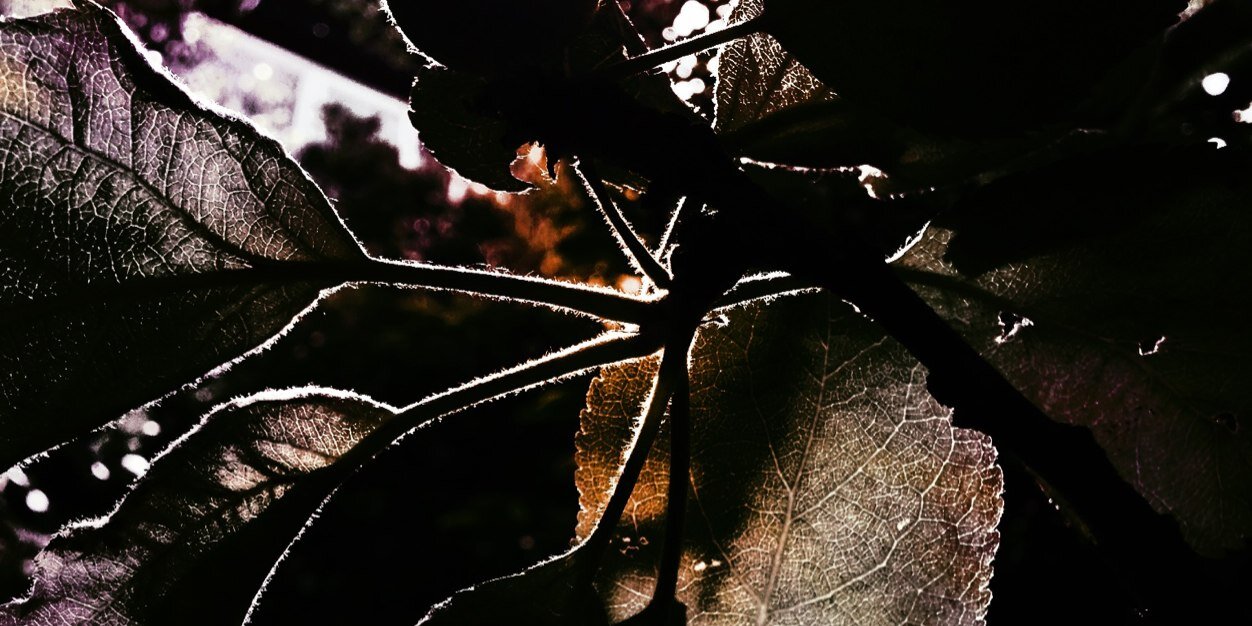 5eanCooper's profile banner image