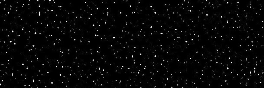 lagoonplatoon's profile banner image