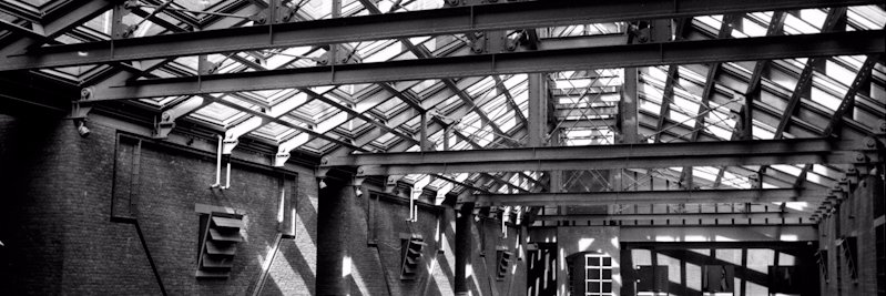 Cameron_USHMM's profile banner image