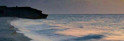 moises_tena's profile banner image