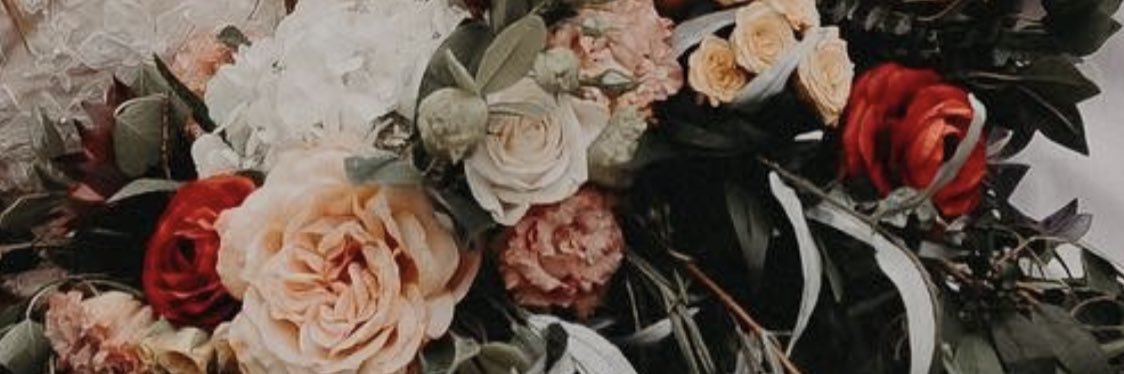 sheajohnson_'s profile banner image