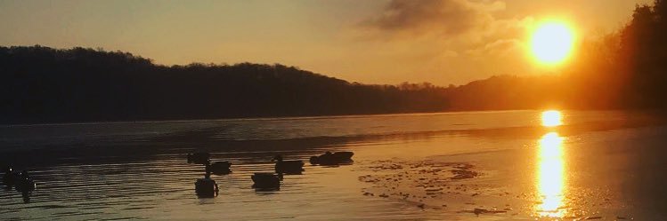 Addisonsmith32's profile banner image