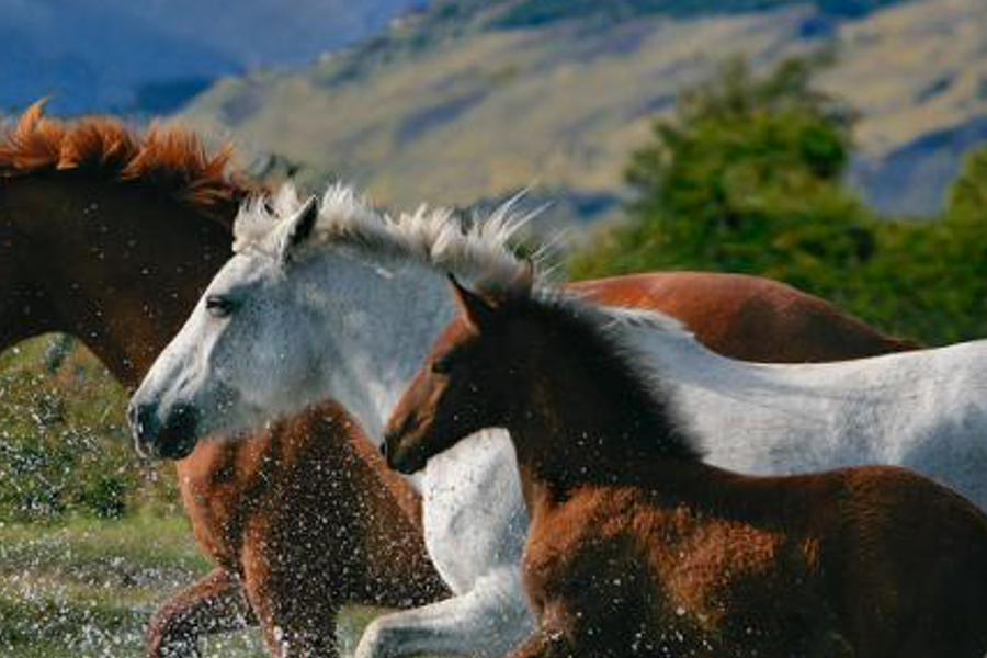 binerditef's profile banner image