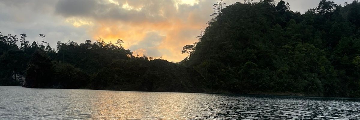 FridVise's profile banner image