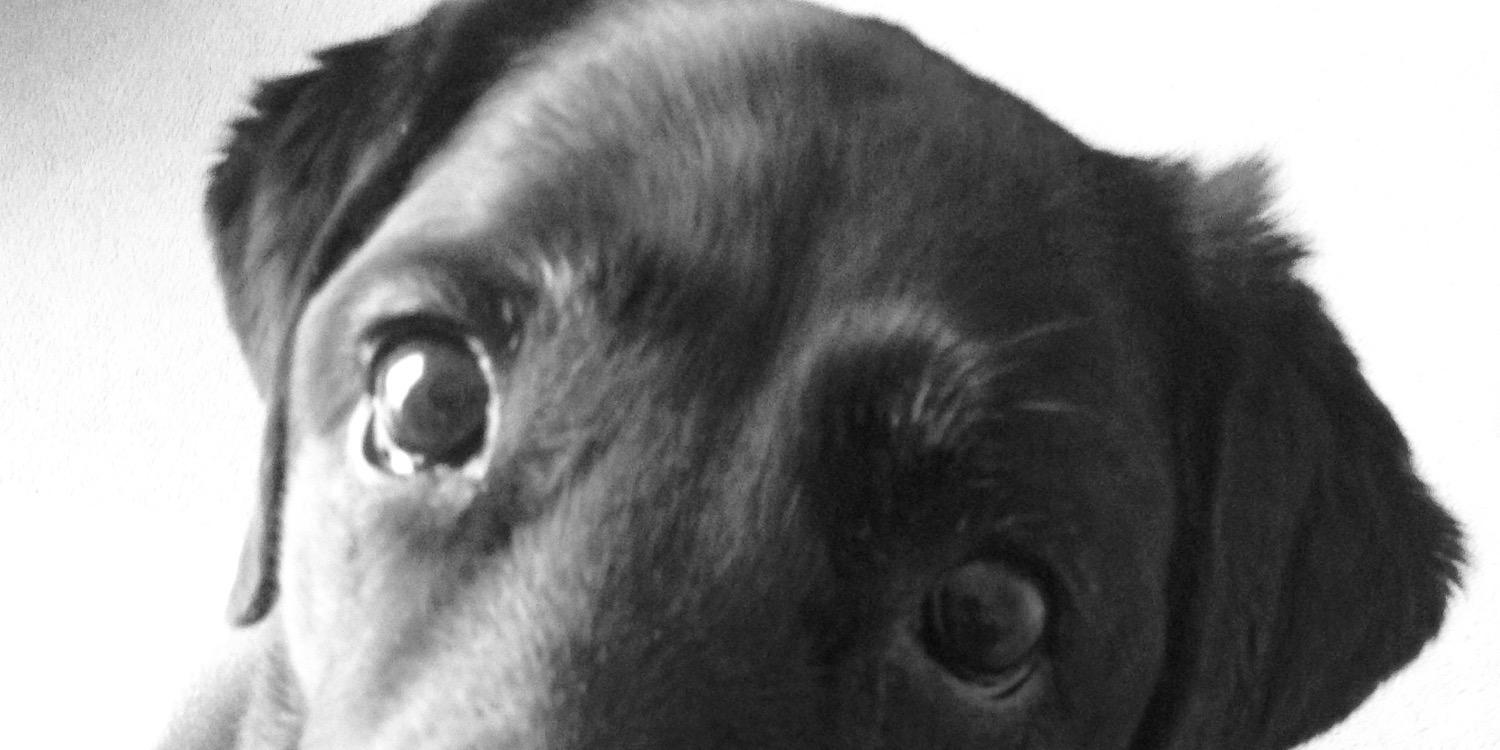 chezmacson's profile banner image