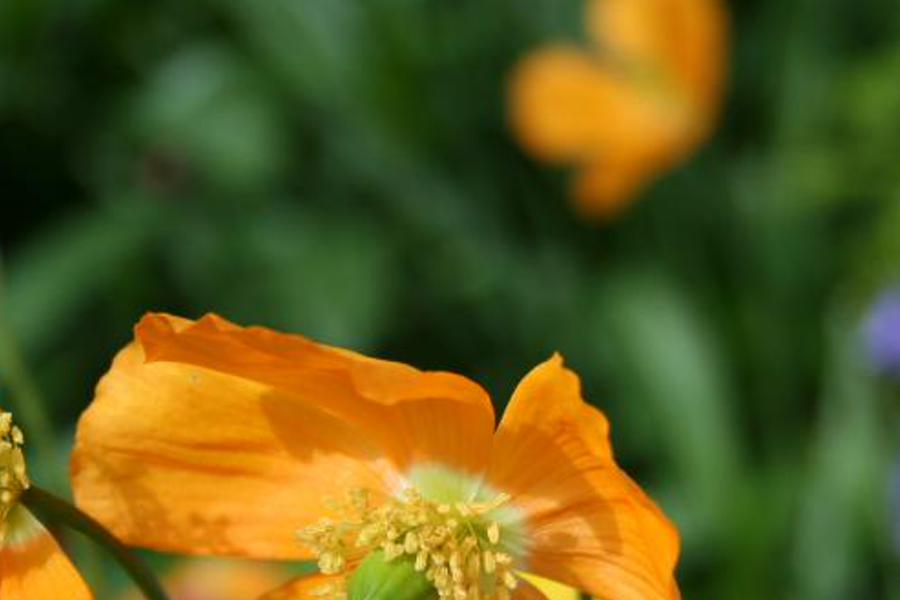urisusca's profile banner image