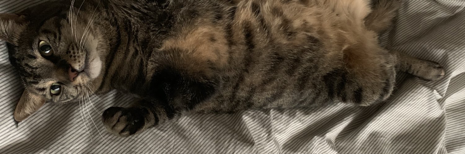 nicholas_human's profile banner image