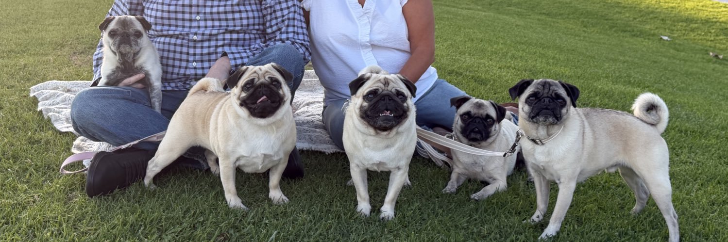 Patrick Dailey banner