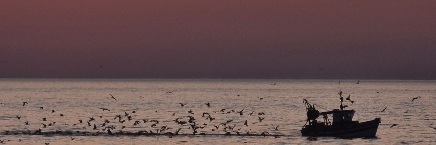 CallMeLewaa's profile banner image