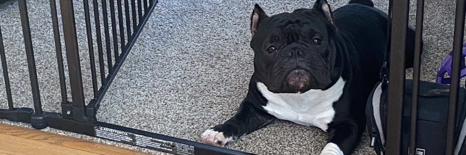 MRMOM08's profile banner image
