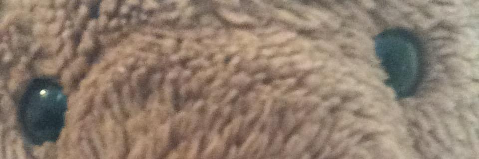 BarnabyBBear's profile banner image