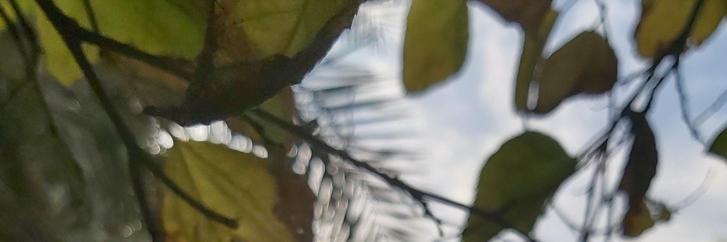 _Hasboy_'s profile banner image