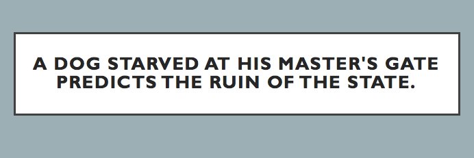 Magdalena Zurawski banner