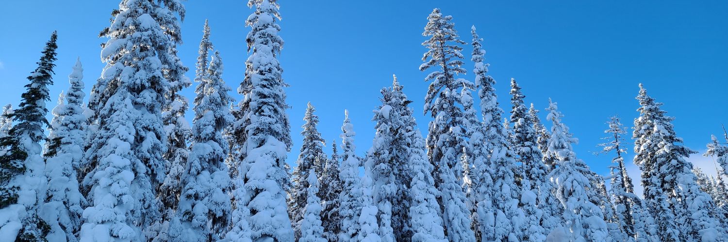 jacksonheather's profile banner image