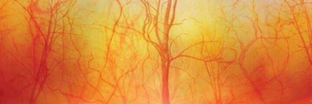 RCMANT's profile banner image