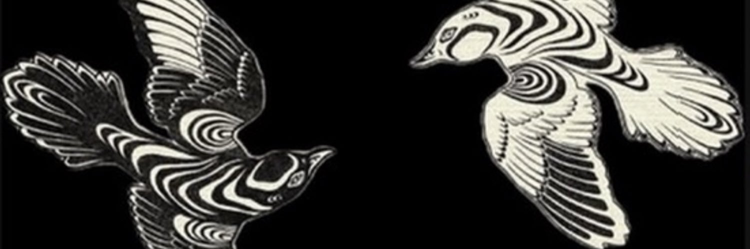 urabirdd's profile banner image