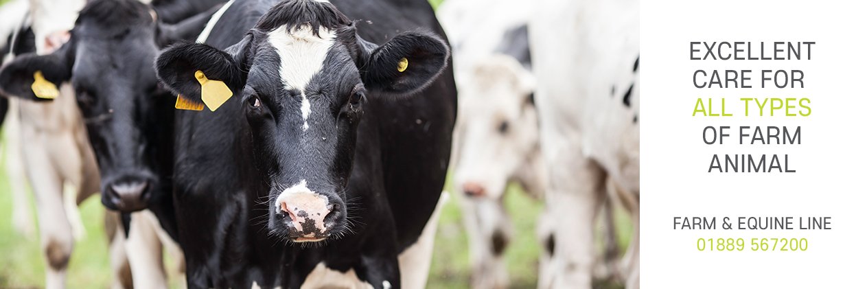 GVFarmVets's profile banner image