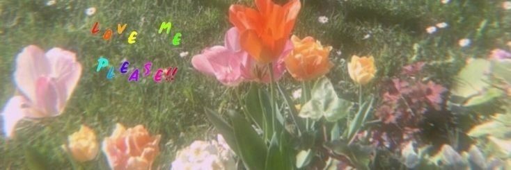 Gerrie Scouler ❤️ Memecoin banner