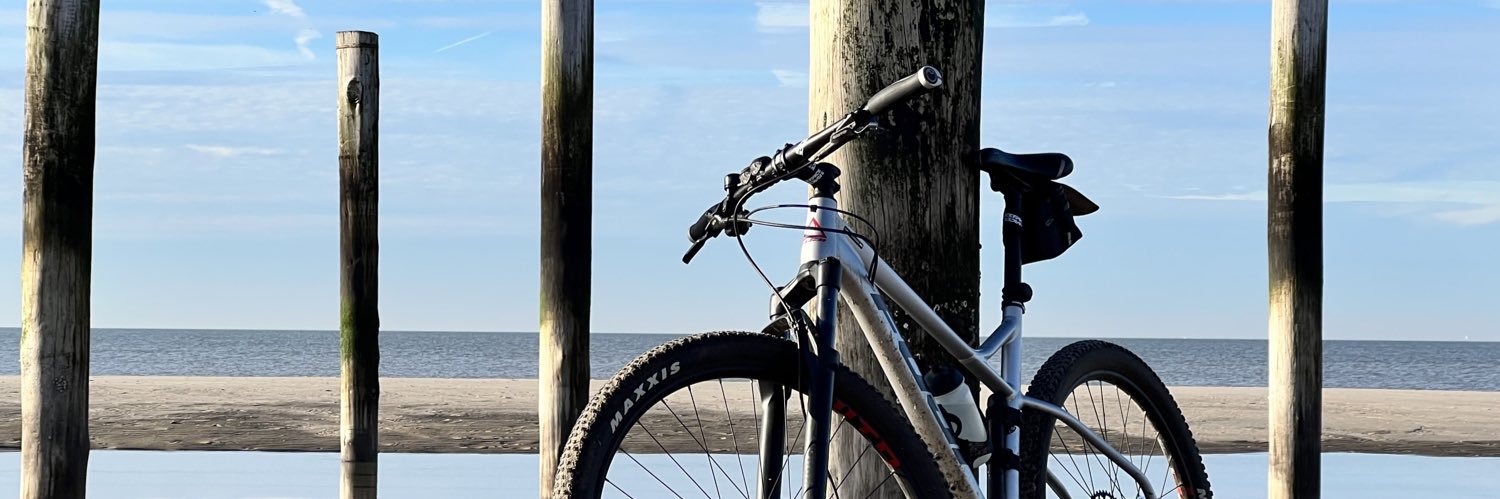 Conny van Stralen banner