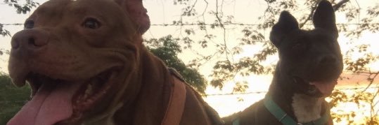 Adan_Israel's profile banner image