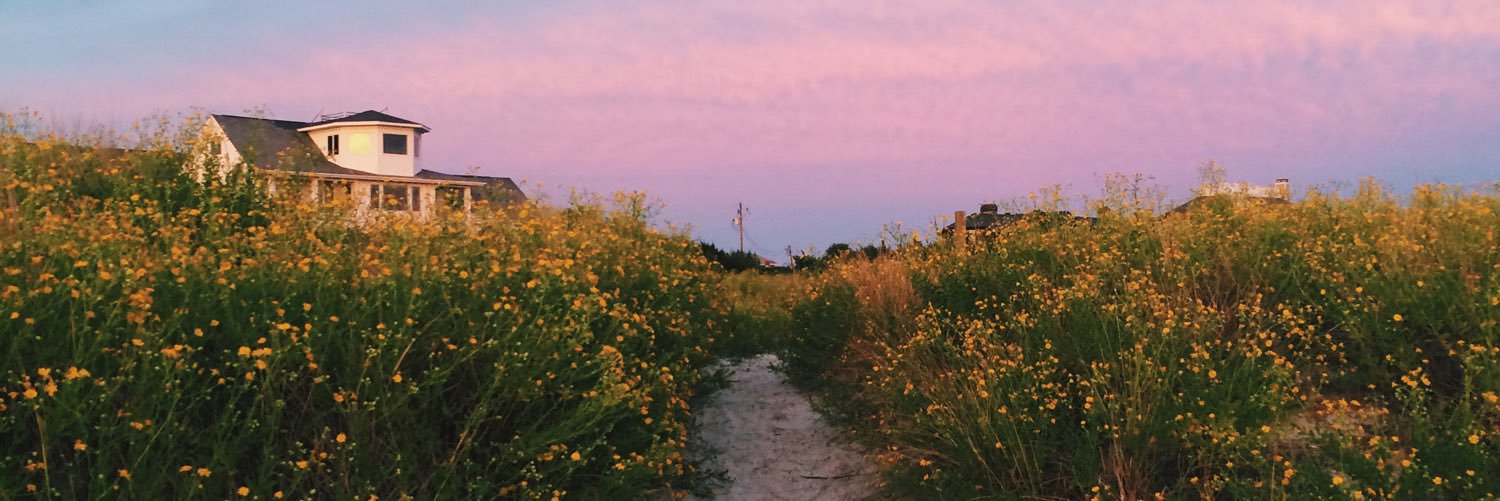 hadleyrollins's profile banner image