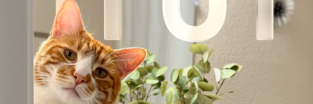 sulexssa's profile banner image