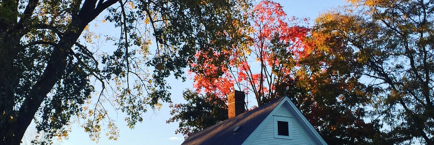 hazeldaze__'s profile banner image