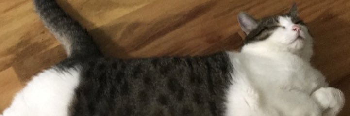 RatatouilleJake's profile banner image