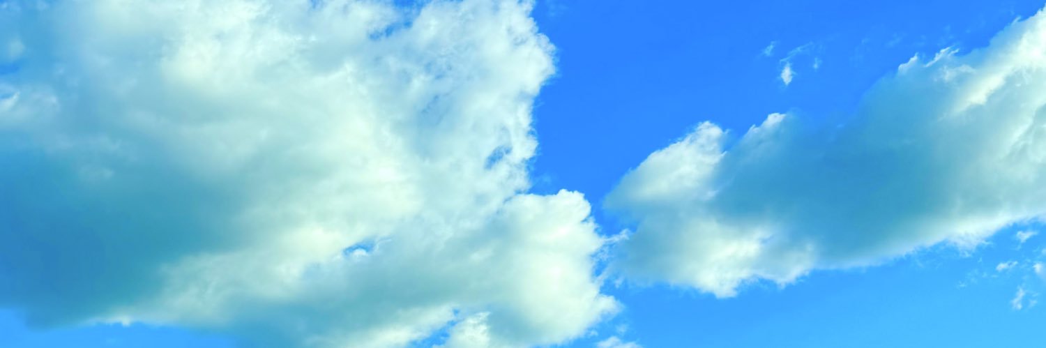 _IntheBloom's profile banner image