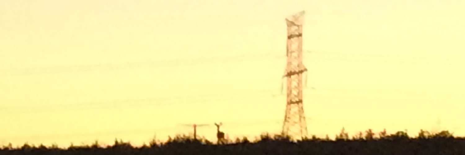 JakeHolstege's profile banner image