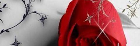 khalid0007573's profile banner image