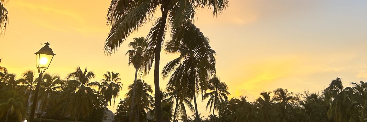 iiamliiv's profile banner image