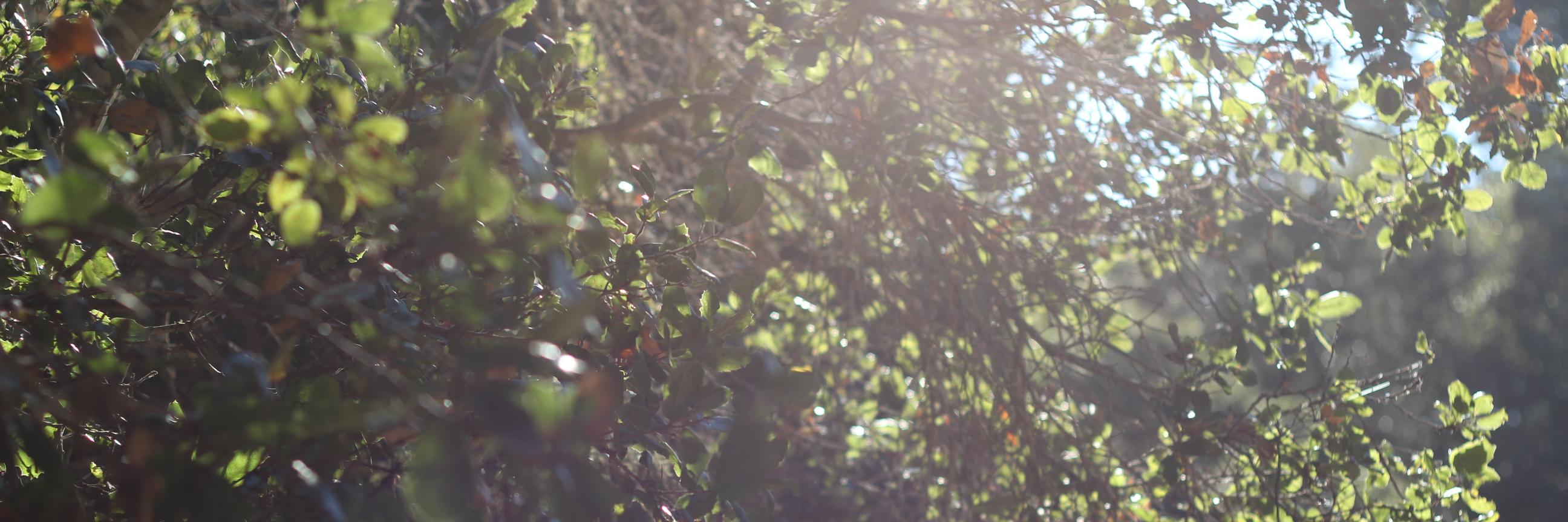 kkrill19's profile banner image