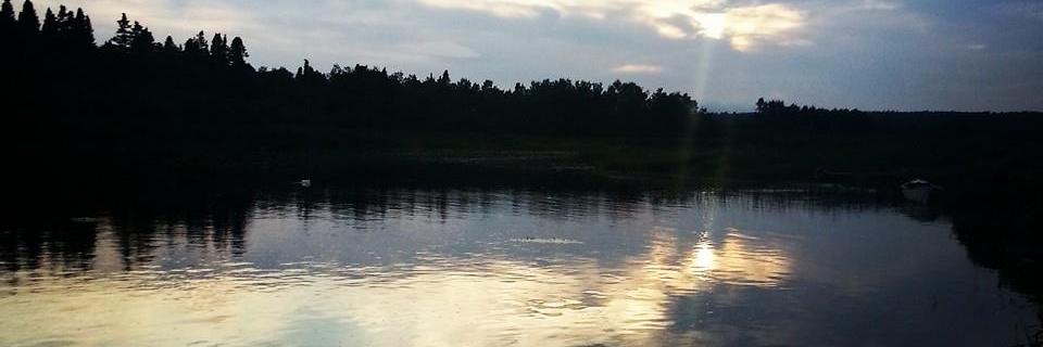 Canadian_Camo22's profile banner image