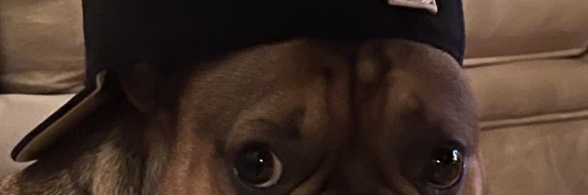 Z🧩 banner